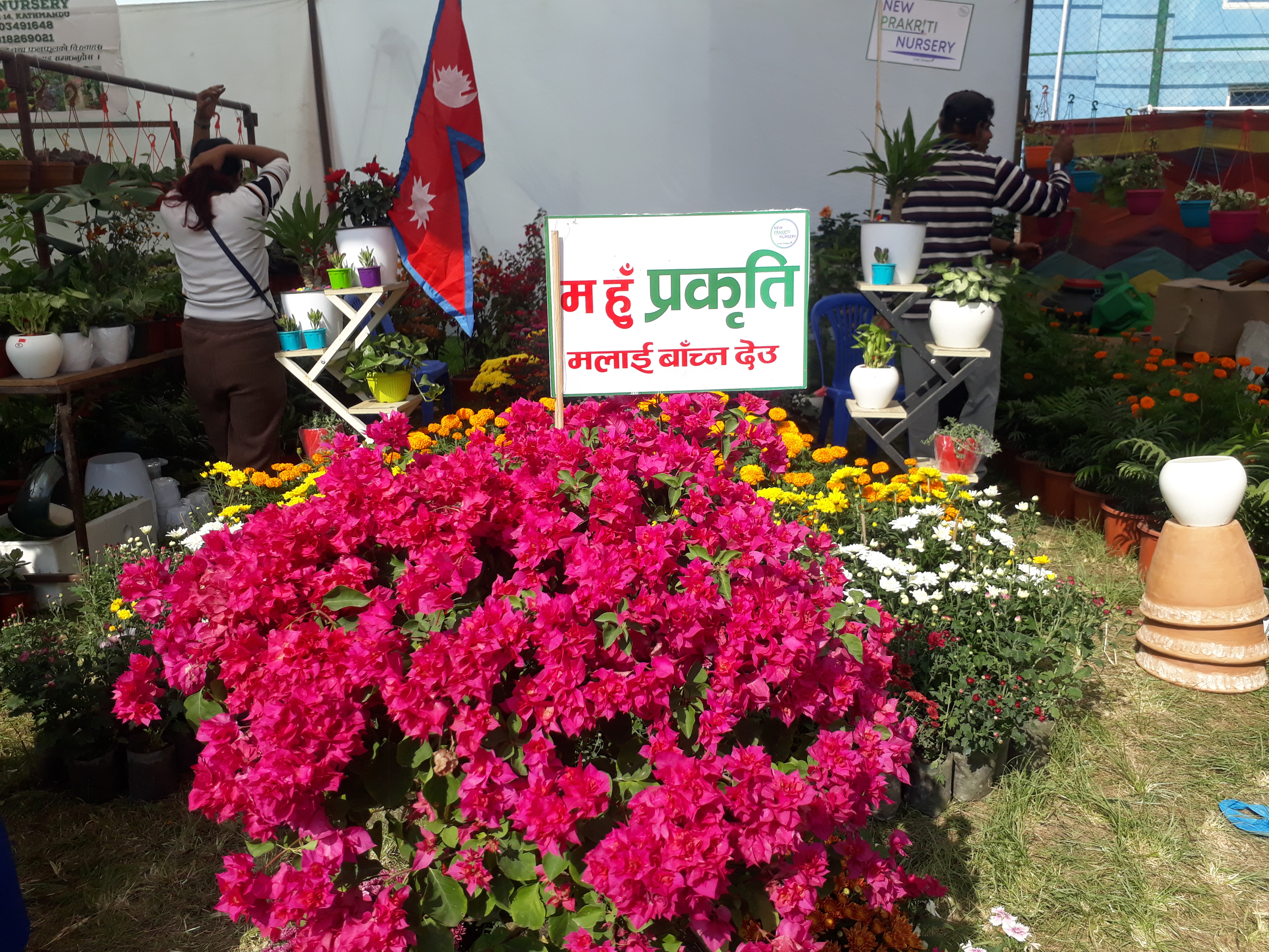 फूलको आँखामा फूलै संसार 